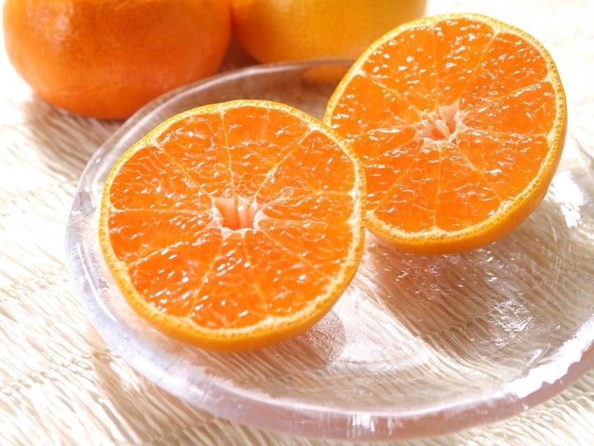 食品・料理・調理